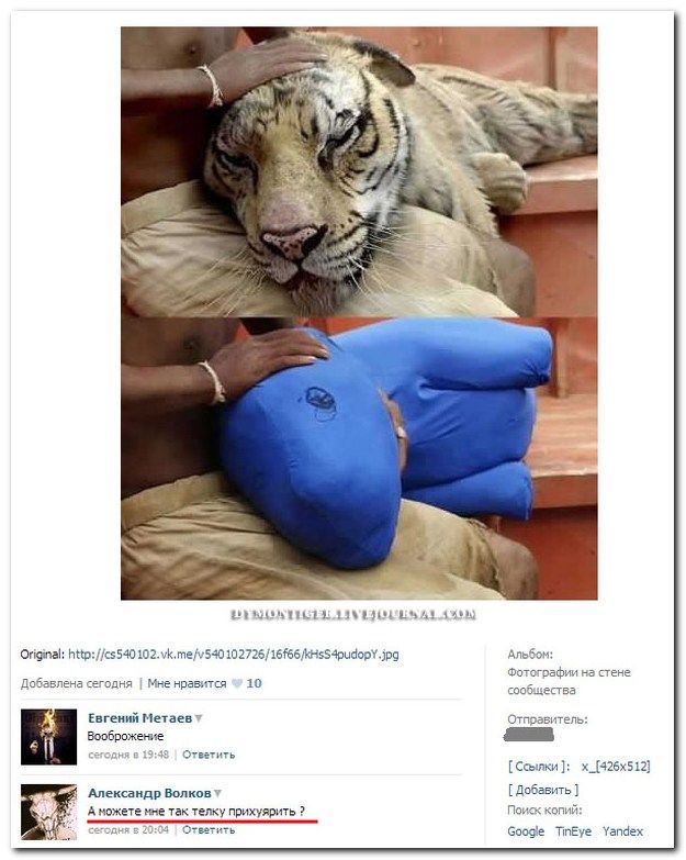 Смешные комментарии из социальных сетей (40 фото)