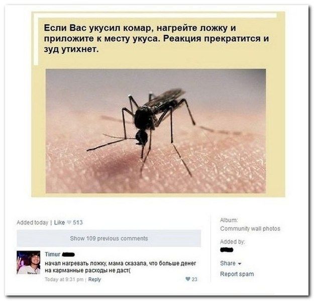 Смешные комментарии из социальных сетей (40 фото)