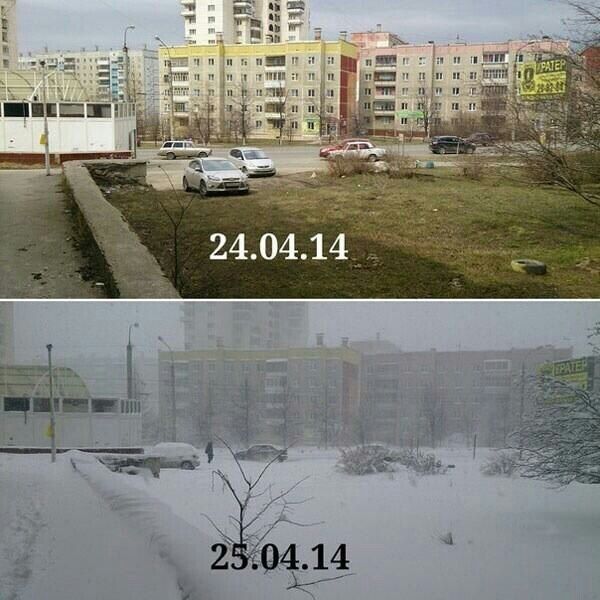 Прикольные картинки (91 фото)