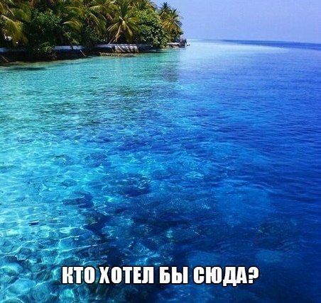 Прикольные картинки (91 фото)