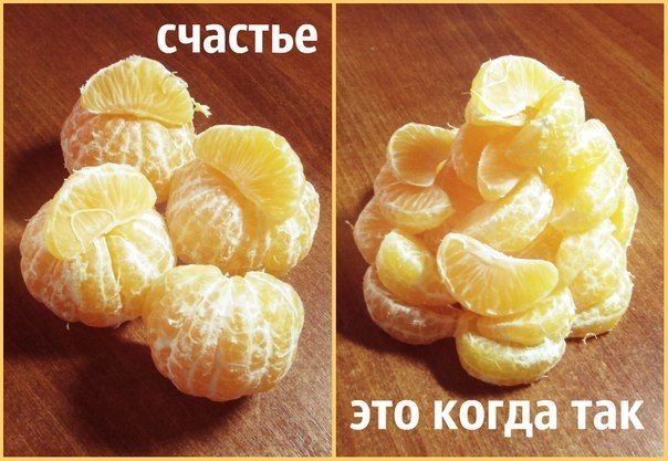 Прикольные картинки (91 фото)