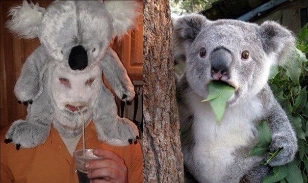 Прикольные картинки (91 фото)