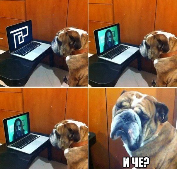 Прикольные картинки (91 фото)