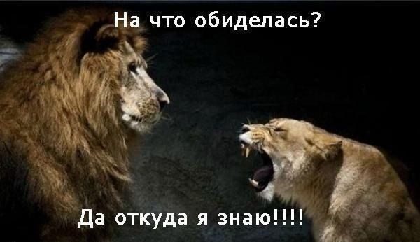 Прикольные картинки (91 фото)