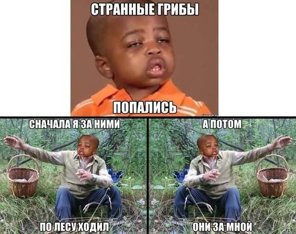 Прикольные картинки (91 фото)