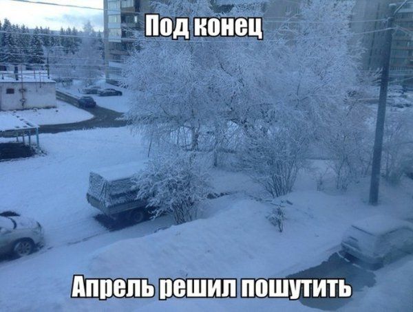 Прикольные картинки (91 фото)