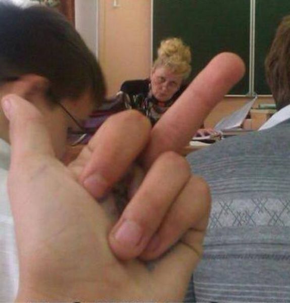 Прикольные картинки (91 фото)