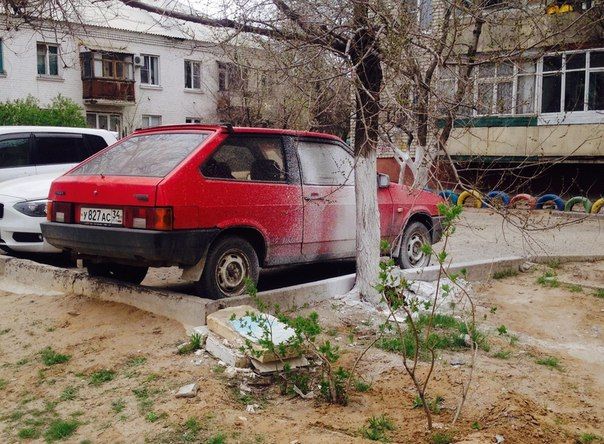 Прикольные картинки (91 фото)