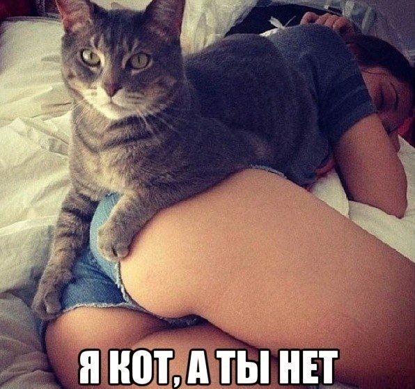 Прикольные картинки (91 фото)