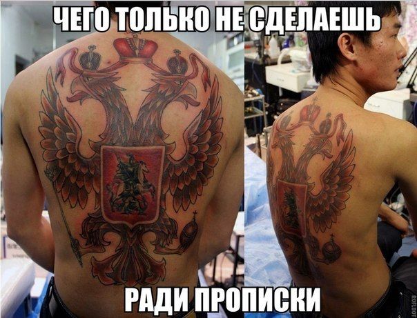 Прикольные картинки (91 фото)