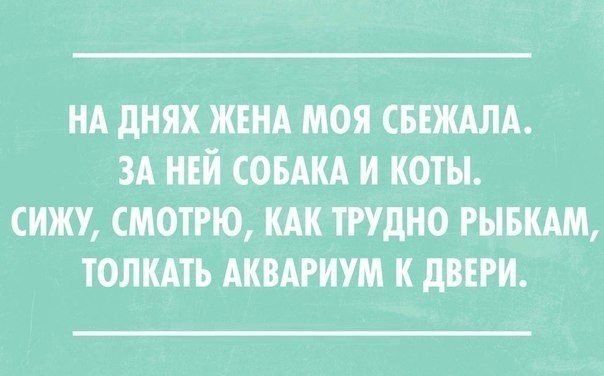 Прикольные картинки (91 фото)