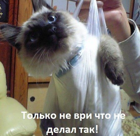 Прикольные картинки (91 фото)