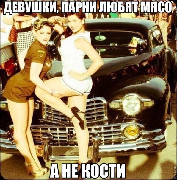 Прикольные картинки (91 фото)