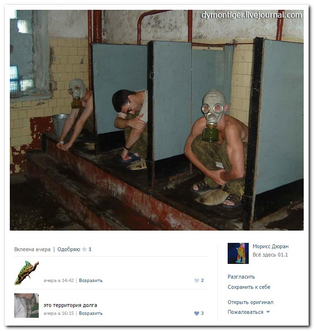 Смешные комментарии из социальных сетей