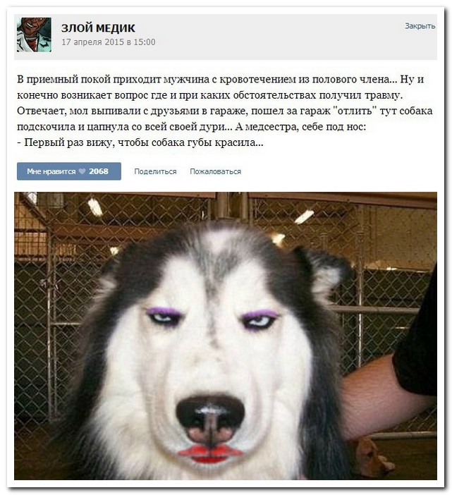 Смешные комментарии из социальных сетей