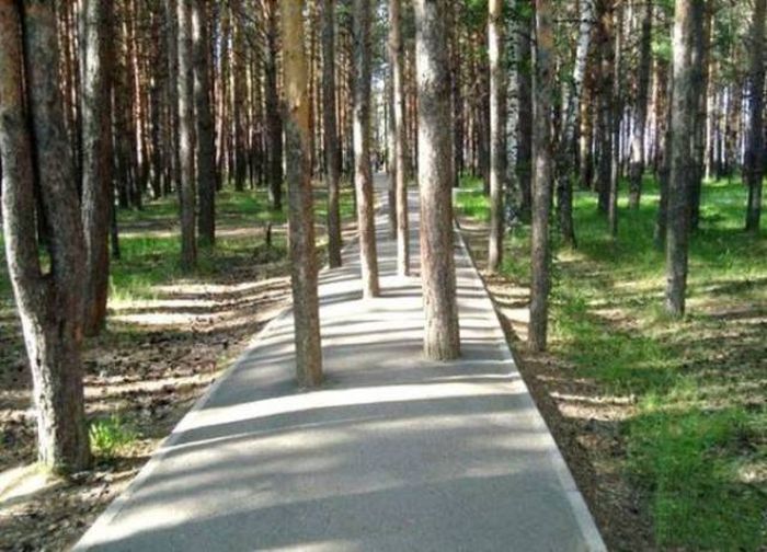 Когда за дело берутся некомпетентные люди