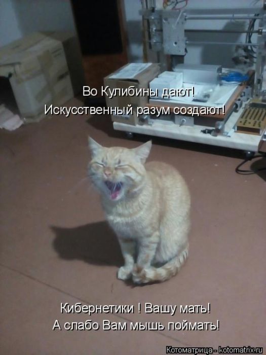 Лучшие котоматрицы недели