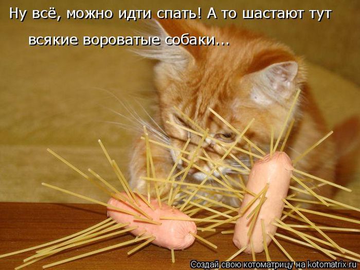 Лучшие котоматрицы недели