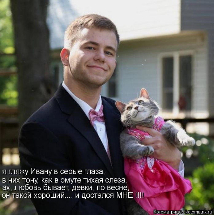 Лучшие котоматрицы недели