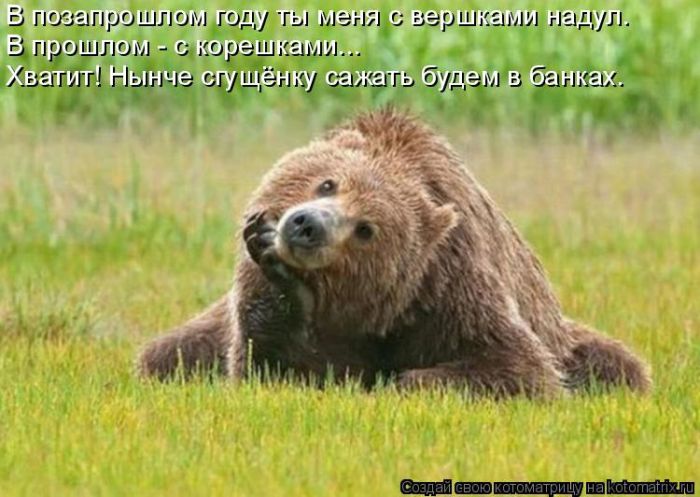 Лучшие котоматрицы недели