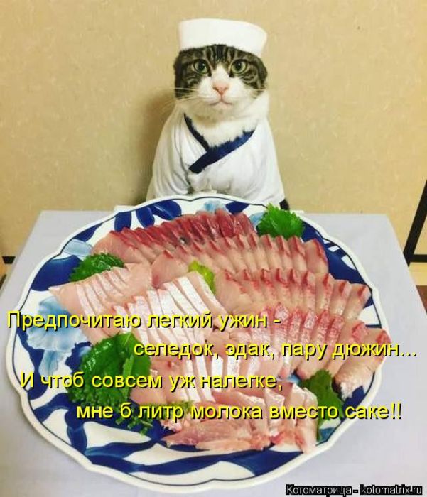 Лучшие котоматрицы недели