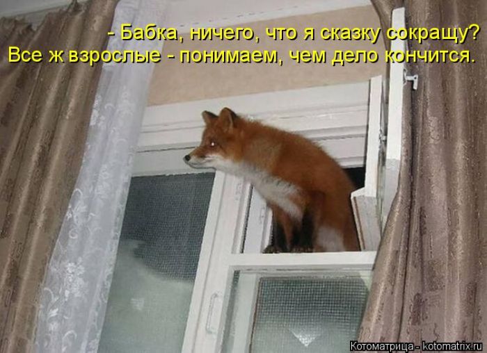 Лучшие котоматрицы недели