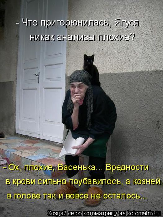 Лучшие котоматрицы недели