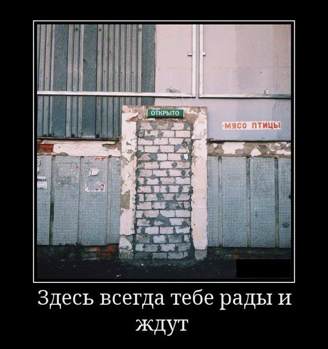 Демотиваторы