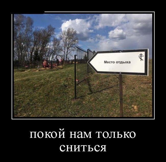 Демотиваторы