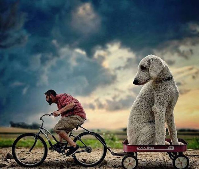 Классные фото, сделанные с отличного ракурса