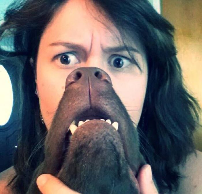 Классные фото, сделанные с отличного ракурса