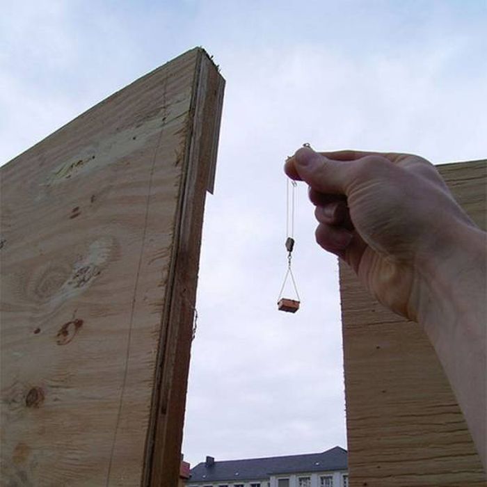 Классные фото, сделанные с отличного ракурса