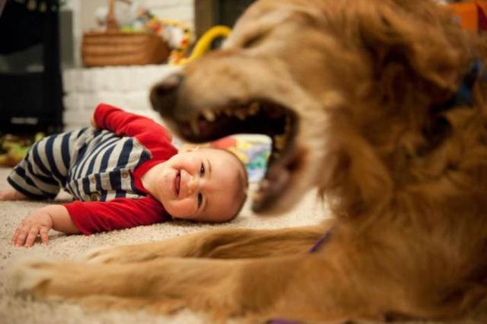 Классные фото, сделанные с отличного ракурса