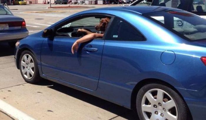 Классные фото, сделанные с отличного ракурса