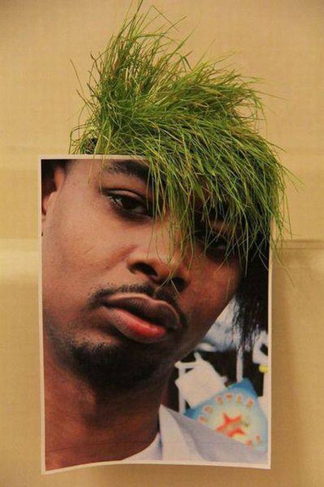 Классные фото, сделанные с отличного ракурса