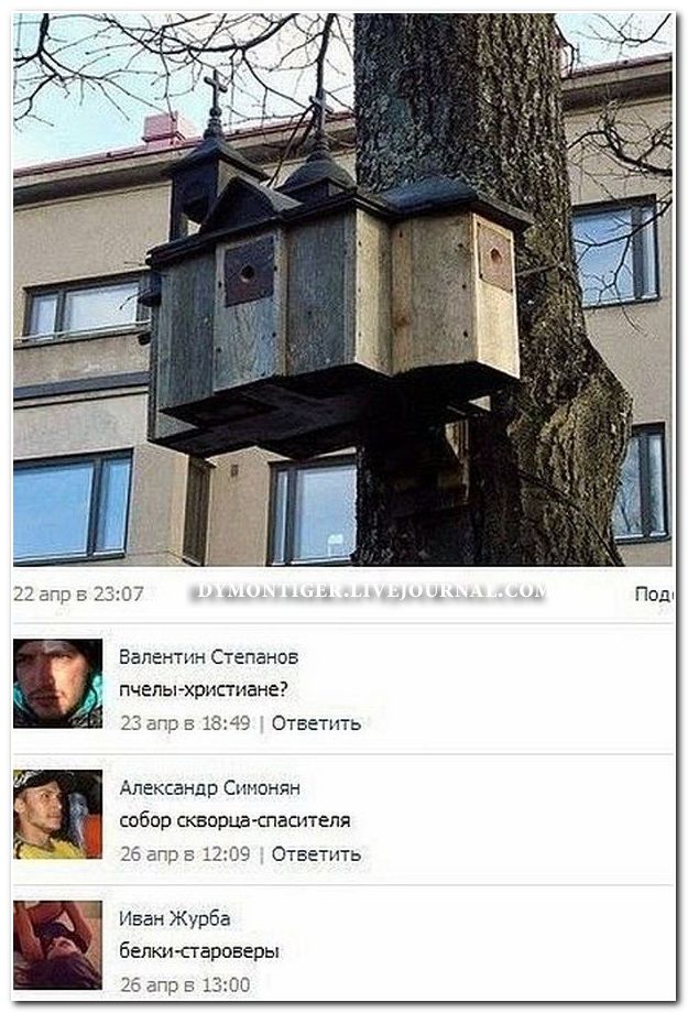 Веселые комментарии из социальных сетей  (40 фото)