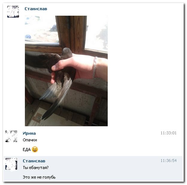 Веселые комментарии из социальных сетей  (40 фото)