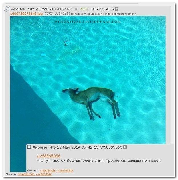 Веселые комментарии из социальных сетей  (40 фото)