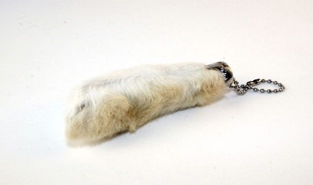 Как возникли самые распространённые суеверия (16 фото)