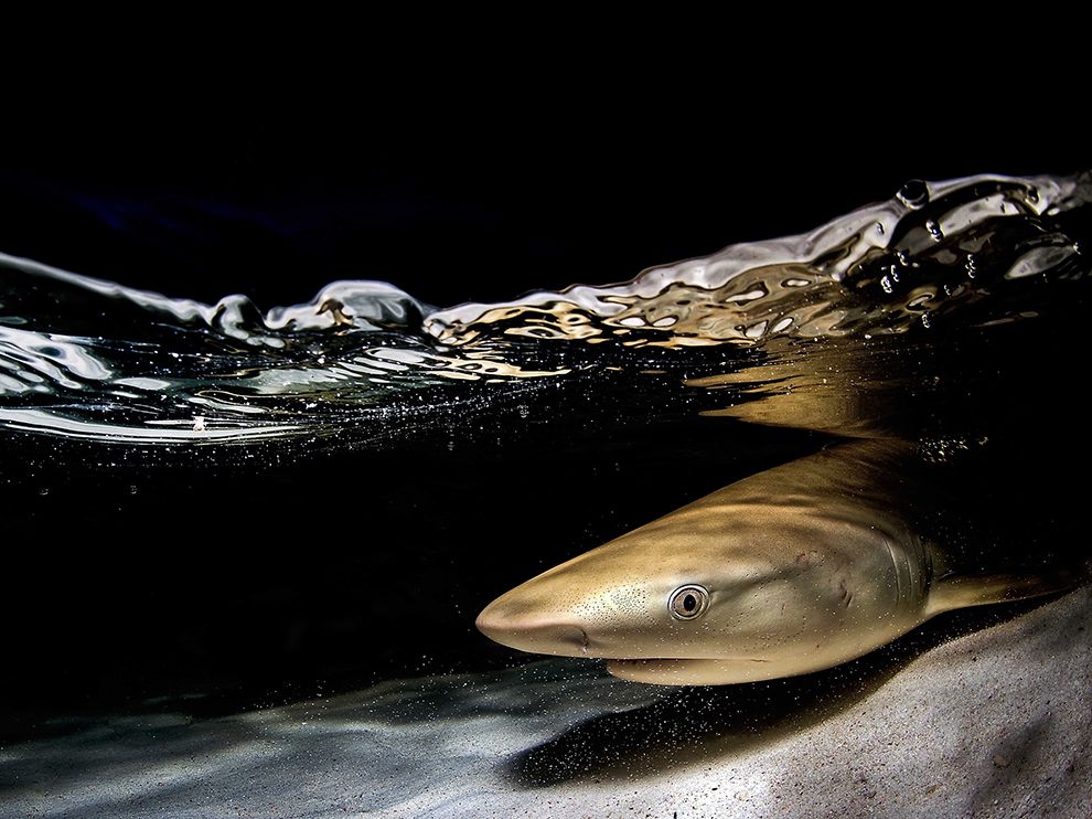 National Geographic: лучшие фотографии июня