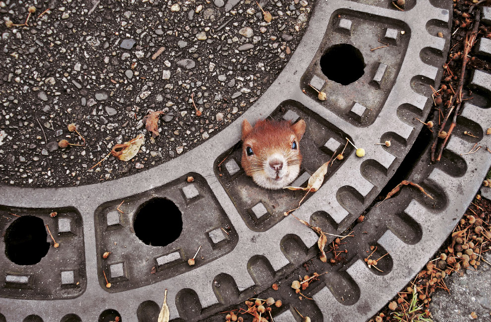 National Geographic: лучшие фотографии июня