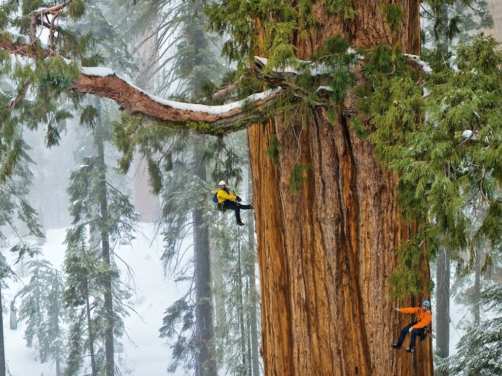 National Geographic: лучшие фотографии июня