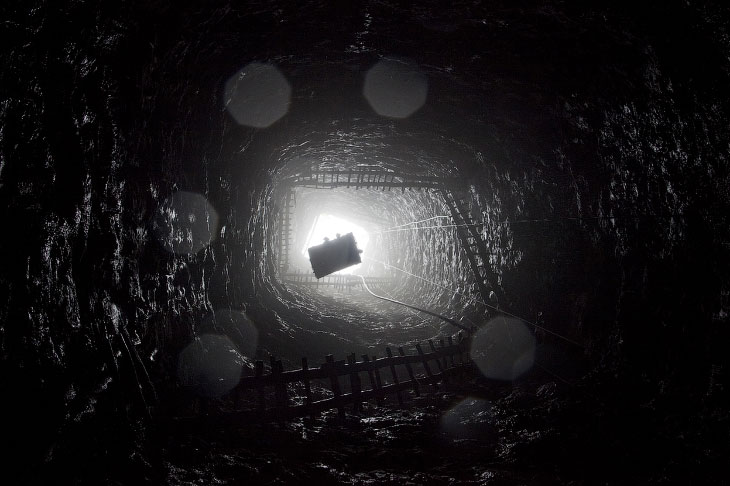 Уголь — древнее растение под землей