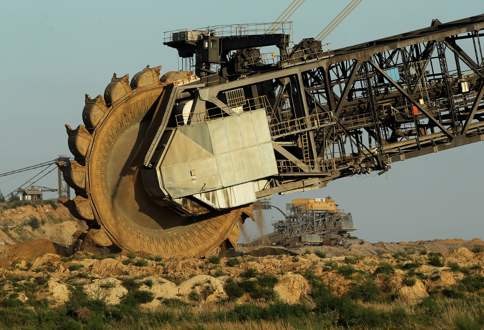 Уголь — древнее растение под землей