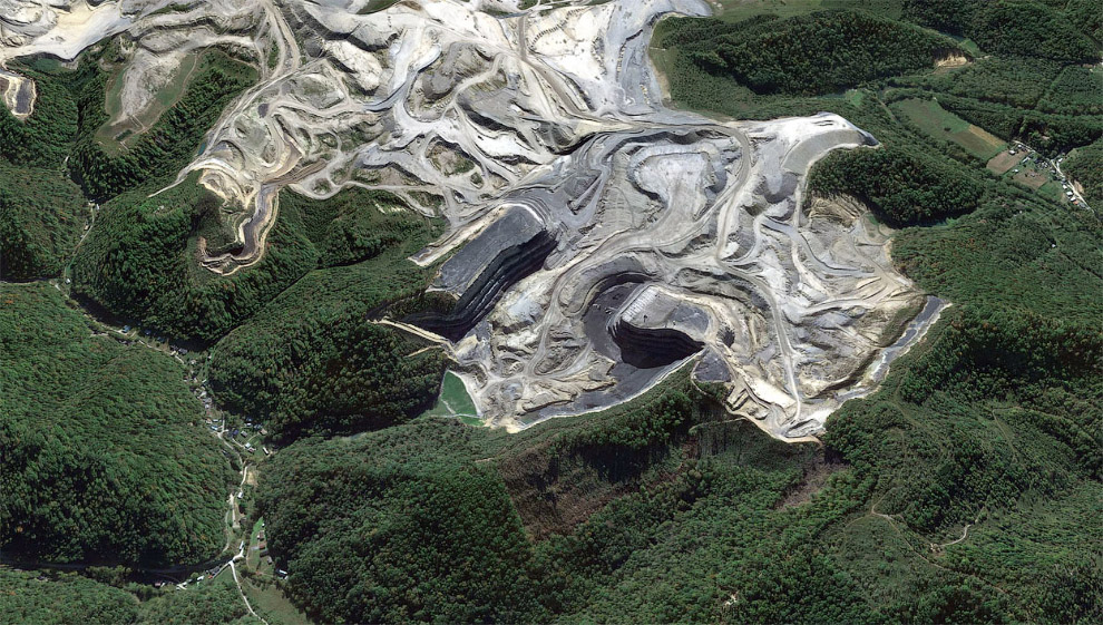 Уголь — древнее растение под землей