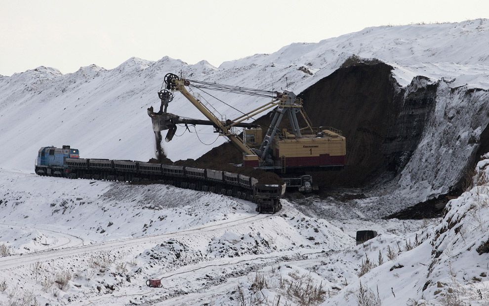 Уголь — древнее растение под землей