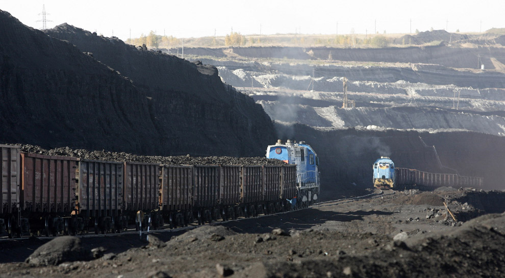 Уголь — древнее растение под землей