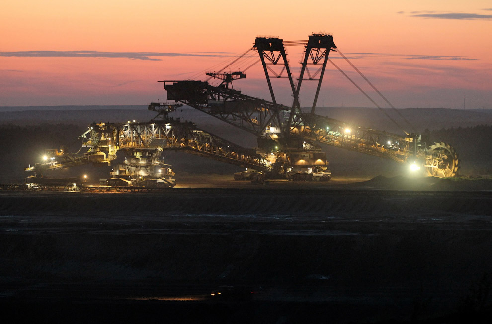 Уголь — древнее растение под землей