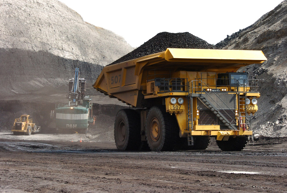 Уголь — древнее растение под землей