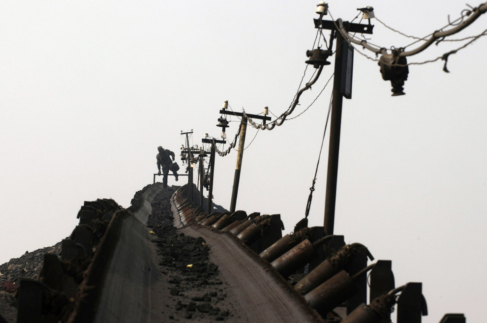 Уголь — древнее растение под землей